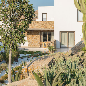 Garden with Mediterranean planting and a suite in the background